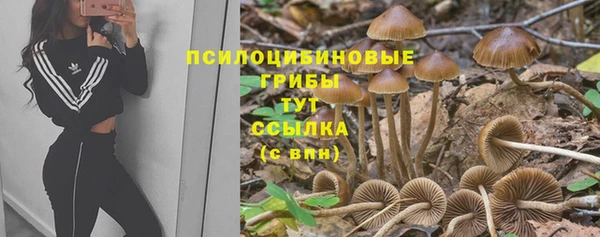 apvp Алексин