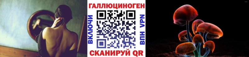 Галлюциногенные грибы Psilocybine cubensis Новоульяновск